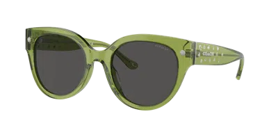 Coach Woman Sunglass Cr612 In Grey Solid
