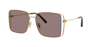 Coach Woman Sunglass Hc7174d Cw429 In Mauve Solid