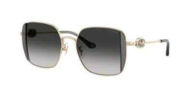 Coach Woman Sunglass Hc7177b Cad72 In Gray