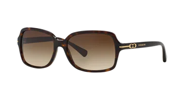 Coach Woman Sunglass Hc8116 L087 Blair In Brown