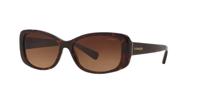 Coach Woman Sunglass Hc8168 L156 In Brown