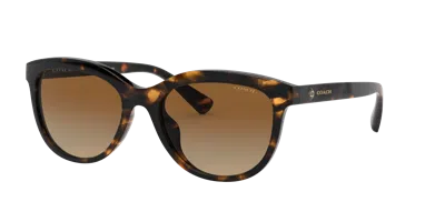 Coach Woman Sunglass Hc8285u L1137 In Black