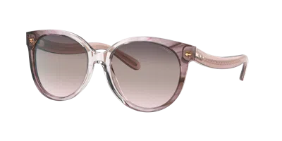 Coach Woman Sunglass Hc8321 C6181