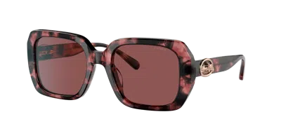 Coach Woman Sunglass Hc8329u C6188