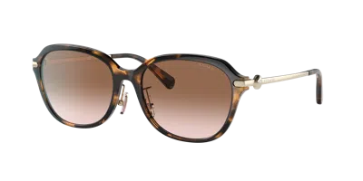 Coach Woman Sunglass Hc8332d C6199 In Black