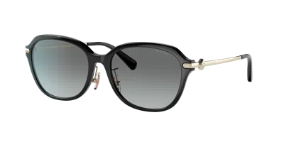 Coach Woman Sunglass Hc8332d C6199 In Black