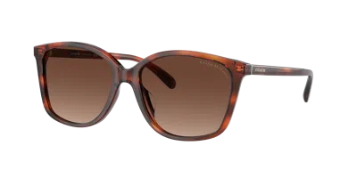 Coach Woman Sunglass Hc8361u Ch558 In Brown