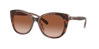 Coach Woman Sunglass Hc8365u Ch566