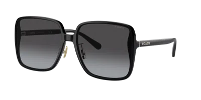 Coach Woman Sunglass Hc8368d Ch572 In Black