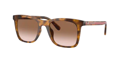 Coach Woman Sunglass Hc8374u Ch561