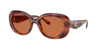 Coach Brown Oval Ladies Sunglasses Hc8391u 577473 53