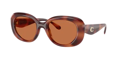 Coach Brown Oval Ladies Sunglasses Hc8391u 577473 53