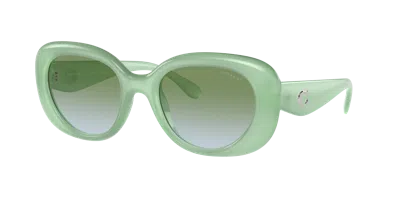 Coach Woman Sunglass Hc8391u Cr609 In Green
