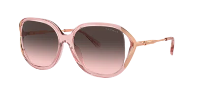 Coach Woman Sunglass Hc8396u Cr620