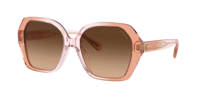 Coach Woman Sunglass Hc8404u Cr615 In Brown