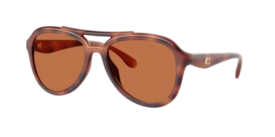 Coach Woman Sunglass Hc8406u Cw183