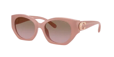 Coach Woman Sunglass Hc8407u Cw194
