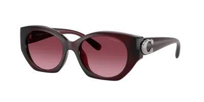Coach Woman Sunglass Hc8407u Cw194