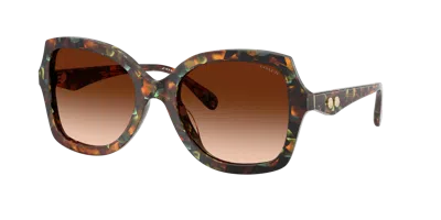 Coach Woman Sunglass Hc8410u Cw225 In Brown
