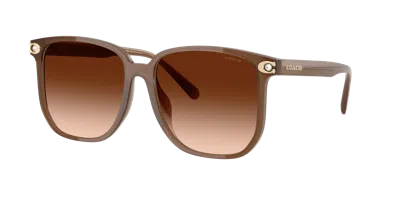 Coach Woman Sunglass Hc8413bd Cw419 In Brown