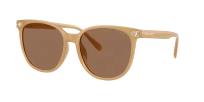 Coach Woman Sunglass Hc8414bd Cw428 In Brown