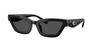 Coach Woman Sunglass Hc8420u Cad28 In Black