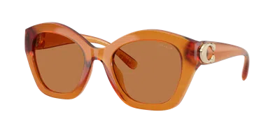 Coach Woman Sunglass Hc8421u Cad31 In Brown