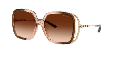 Coach Woman Sunglass Hc8423u Cad80 In Brown