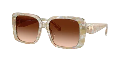COACH COACH WOMAN SUNGLASS HC8424F CAD55