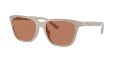 Coach Woman Sunglass Hc8429d Cae86 In Neutral