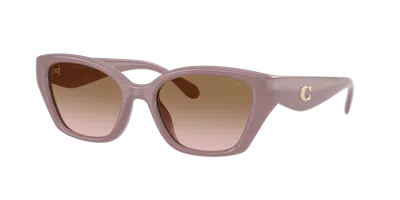 COACH COACH WOMAN SUNGLASSES HC8434U CBY91