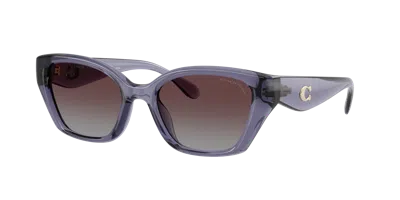 Coach Woman Sunglass Hc8434u Cby91 In Blue