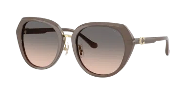 Coach Woman Sunglass Hc8436 Cby93 In Brown