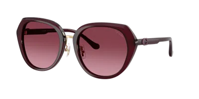 Coach Woman Sunglass Hc8436 Cby93 In Brown
