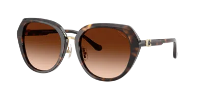Coach Woman Sunglass Hc8436 Cby93 In Brown