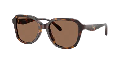 Coach Woman Sunglass Hc8437f Cby89 In Brown