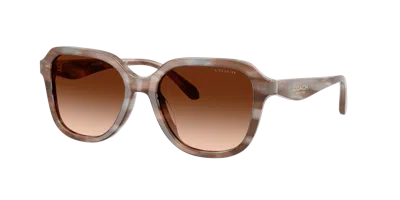 Coach Woman Sunglass Hc8437u Cby87 In Brown
