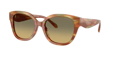 Coach Woman Sunglass Hc8438u Cby94 In Green