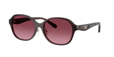 Coach Woman Sunglass Hc8445d Cby85 In Burgundy
