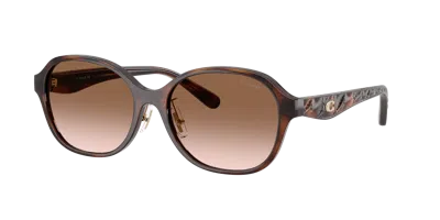 Coach Woman Sunglass Hc8445d Cby85 In Brown