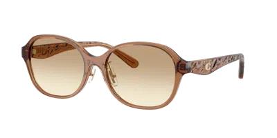 Coach Woman Sunglass Hc8445d Cby85 In Brown