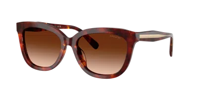 Coach Woman Sunglass Hc8453u Cdp53 In Burgundy