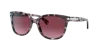 Coach Woman Sunglasses Hc8132 L109 In Burgundy Gradient