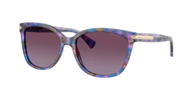 Coach Woman Sunglasses Hc8132 L109 In Purple