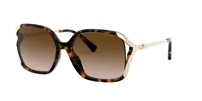 Coach Oversized Horse And Carriage Sunglasses In Dark Tortoise