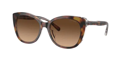 Coach Woman Sunglass Hc8365u Ch566 In Brown Gradient