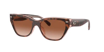 Coach Woman Sunglass Hc8370u Ch570 In Brown Pink Gradient