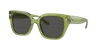 Coach Woman Sunglasses Hc8392u Cr611 In Grey Solid