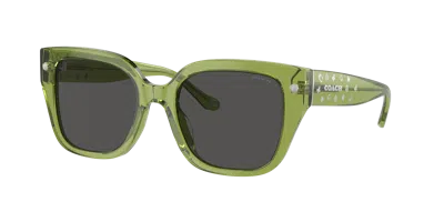 Coach Woman Sunglasses Hc8392u Cr611 In Grey Solid