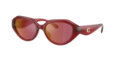 COACH COACH WOMAN SUNGLASSES HC8433U CBY77